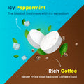 Energy & Focus Mints by Go Mints (12 Mints)