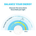 Energy & Focus Mints by Go Mints (12 Mints)